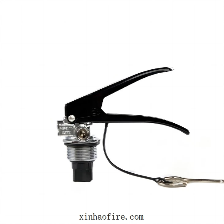 6kg ABC Dry Chemical Fire Extinguisher Valve