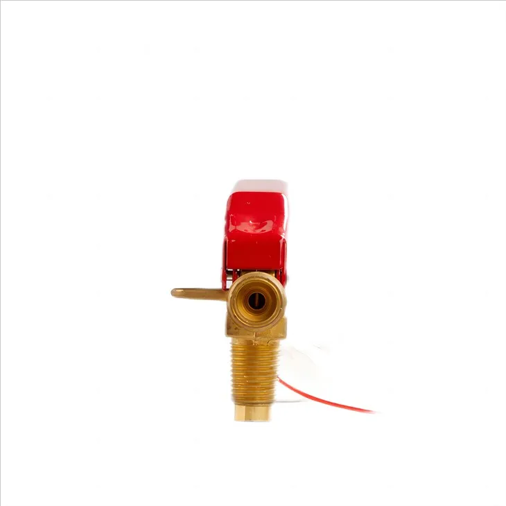 Carbon Dioxide Extinguisher Vavle